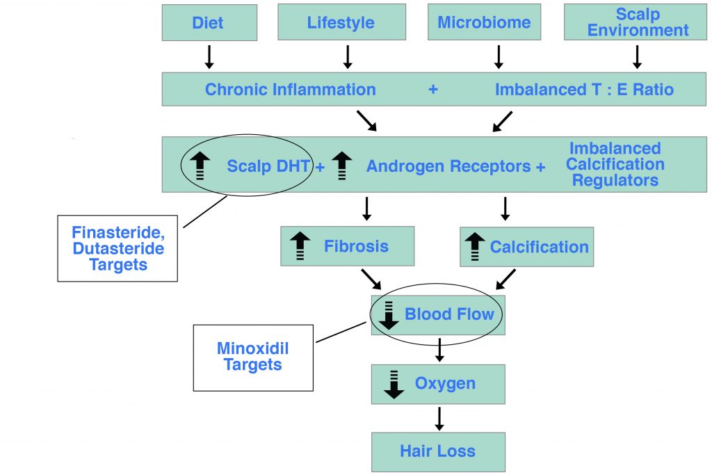 Finasteride Minoxidil Hair Loss Flowchart