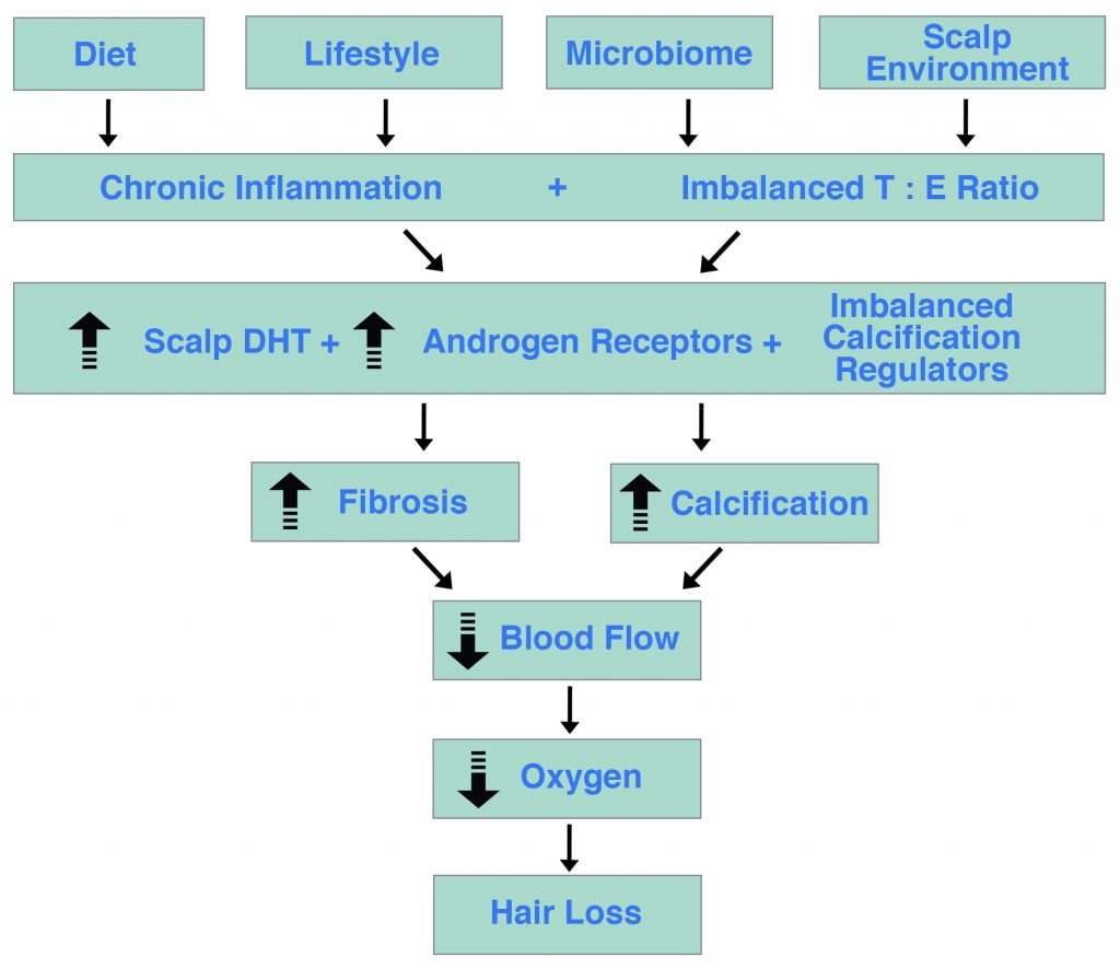 Ultimate Hair Loss Flowchart