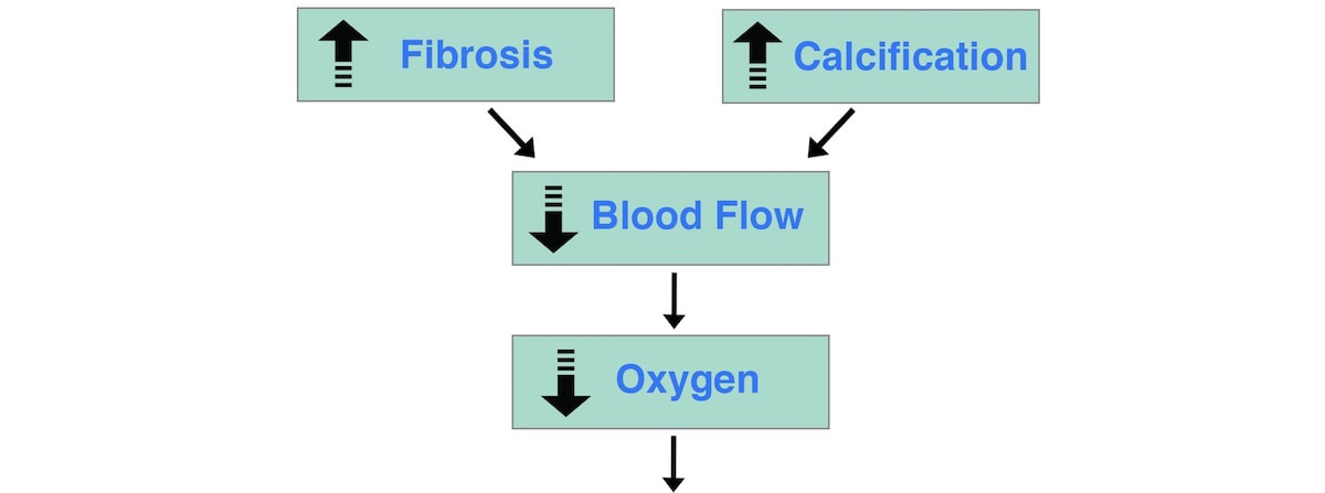 Ultimate Hair Loss Flowchart-feature