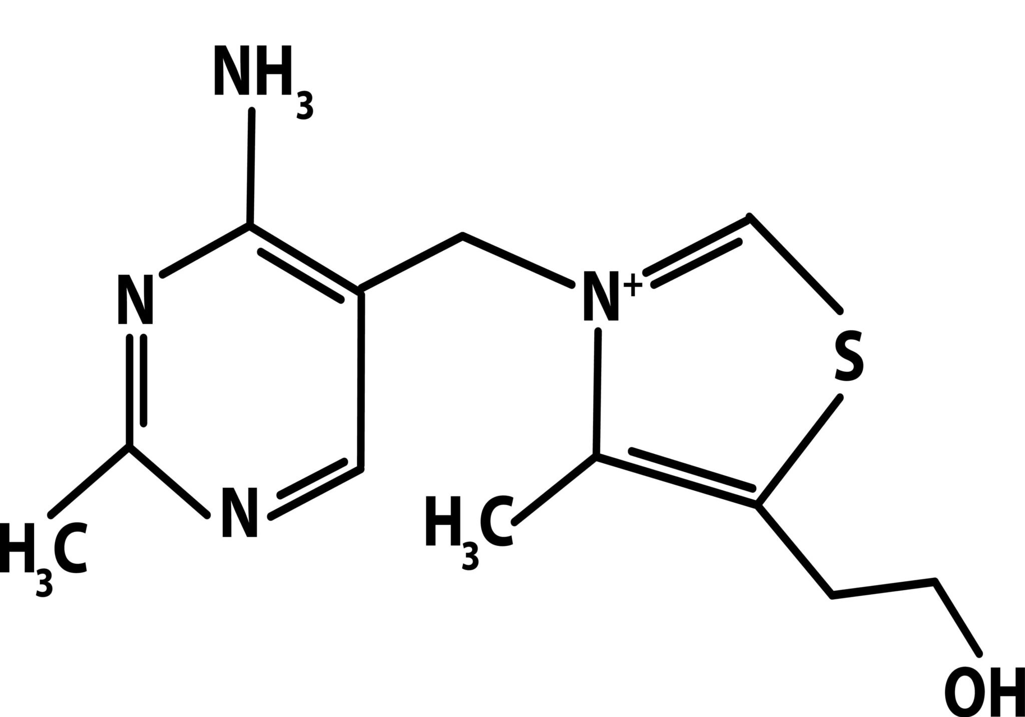 Vitamin B1 Hair Loss