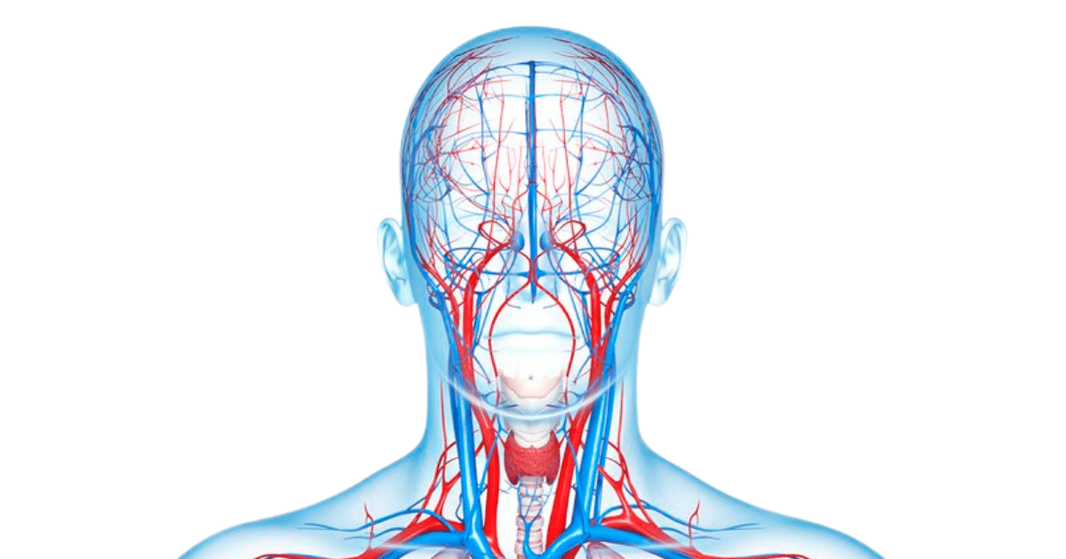 Hair loss scientific statement 