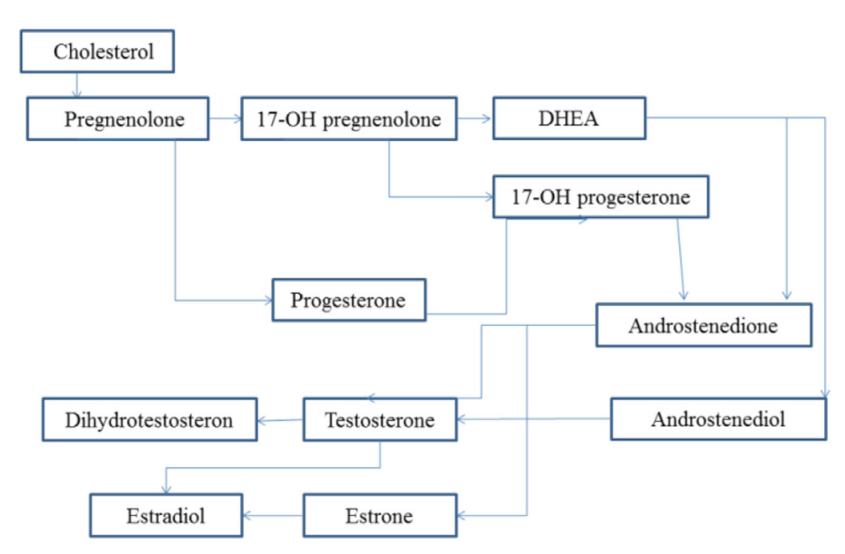 DHT study graphic