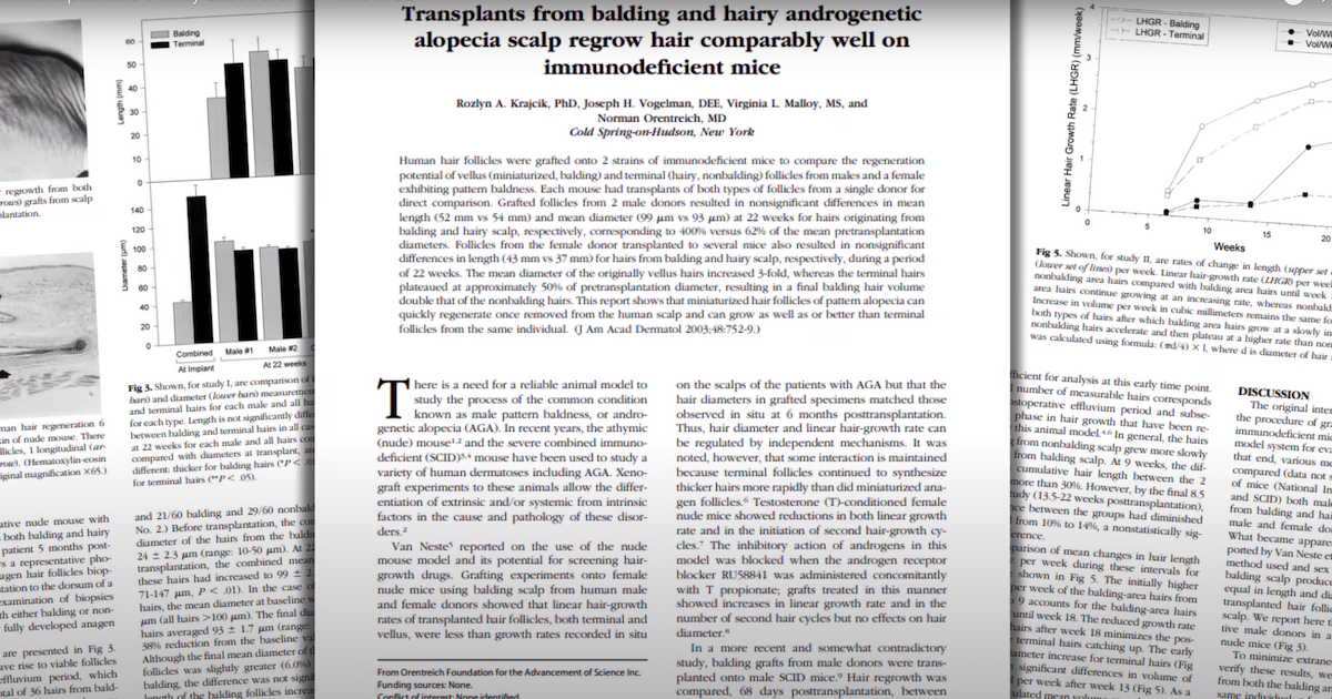 Mice hair transplant study documents