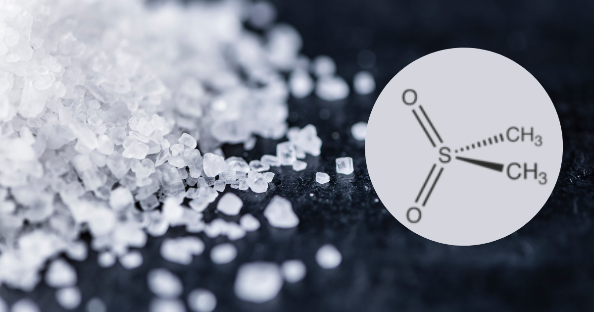 Methylsulfonylmethane header photo article