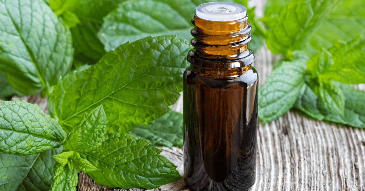 Essential oil bottle